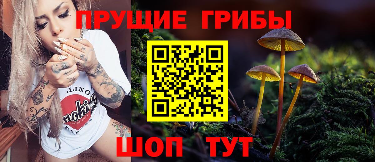 Галлюциногенные грибы прущие грибы Гусь-Хрустальный