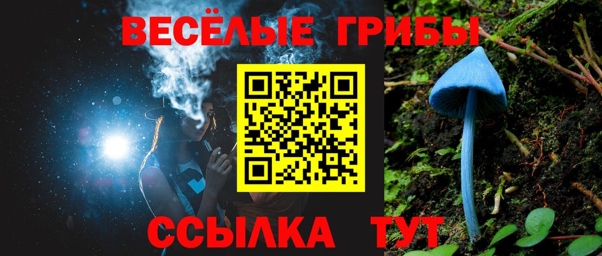 Гусь-Хрустальный  Галлюциногенные грибы Psilocybe  Псилоцибиновые грибы GOLDEN TEACHER  Вход с VPN 